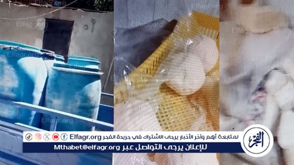 ضبط مصنع جبنة رومي غير مرخص يستخدم مواد فاسدة ببني سويف