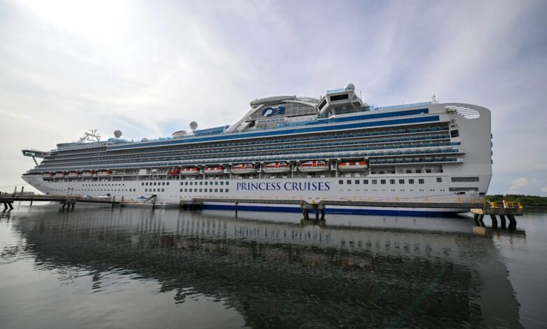 Princess cruise ship recovers 5 deceased individuals from sea