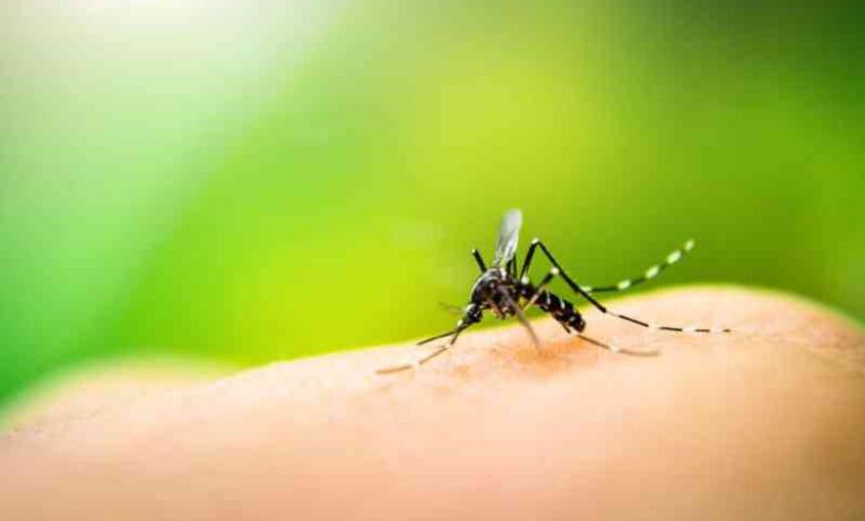 Malaria drug resistance reaches critical levels in western Kenya