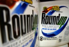 Supreme Court Hears Roundup Case, Health Policy Clash