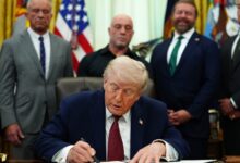 Ibogaine and Psychedelics: Trump Order Fast-Tracks Reviews