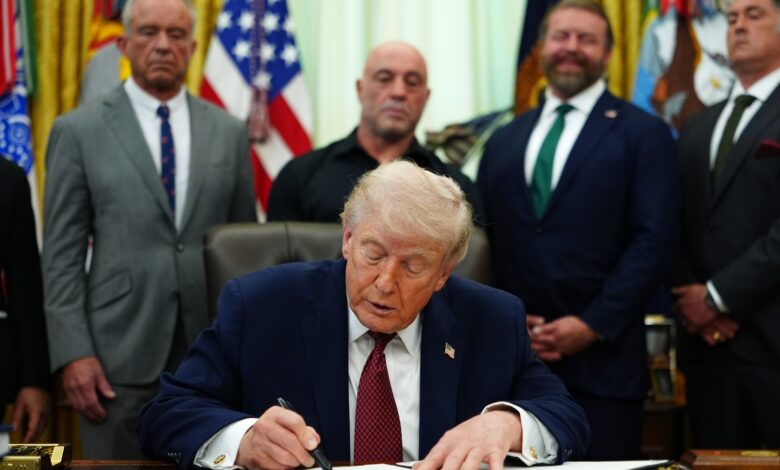 Ibogaine and Psychedelics: Trump Order Fast-Tracks Reviews