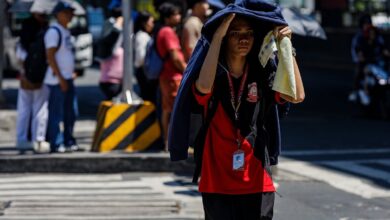 Local Governments Urged to Tackle Rising Urban Heat