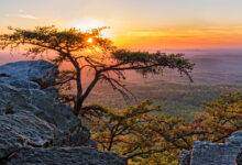 Alabama’s Outdoors as a Job Magnet in the Talent Race