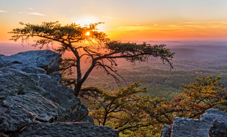 Alabama’s Outdoors as a Job Magnet in the Talent Race