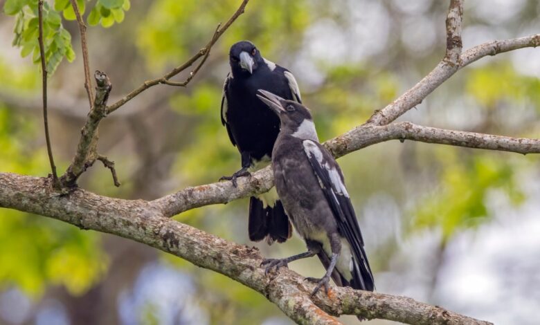 Poem: Meanwhile, Outside