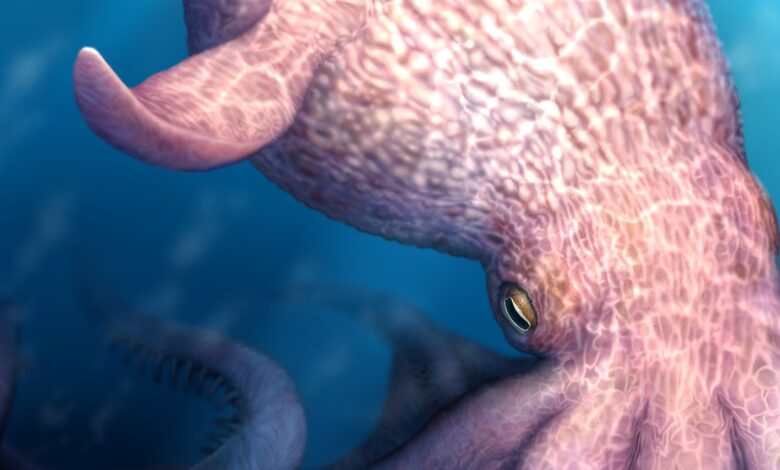 60-foot Octopus Fossils: The ‘Kraken’ of the Cretaceous?