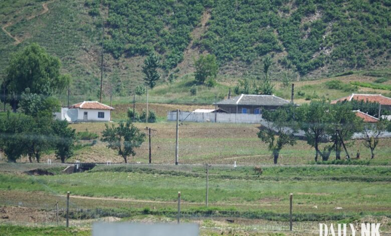 사회 통제 속 유령 생활에 숨는 주민들, 북한 시장 위기