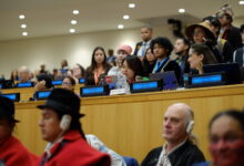 Nearly two decades on, UNDRIP still isn’t being fully implemented