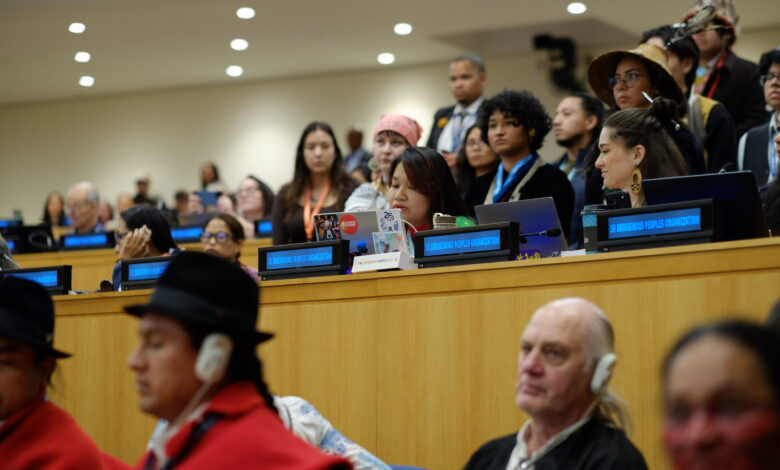 Nearly two decades on, UNDRIP still isn’t being fully implemented