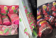 140,000 Ecstasy Pills Seized at Tanger-Med: How the Smuggling Was Foiled