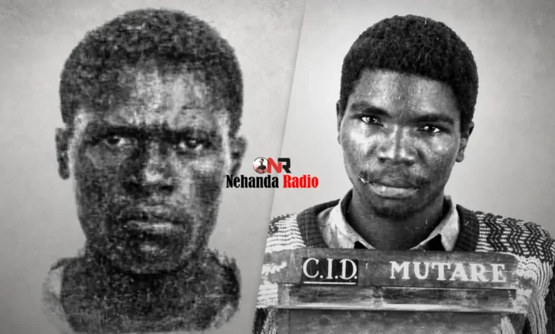 Chikurubi Chronicles: Chidhumo and Masendeke, Zimbabwe’s rise-and-fall