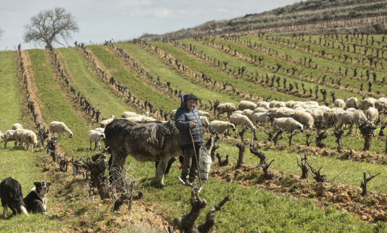 Madrid acoge el primer encuentro global de pastores