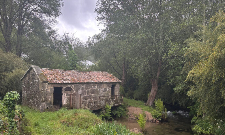 Arantza Portabales y el rastro oscuro de la Galicia rural
