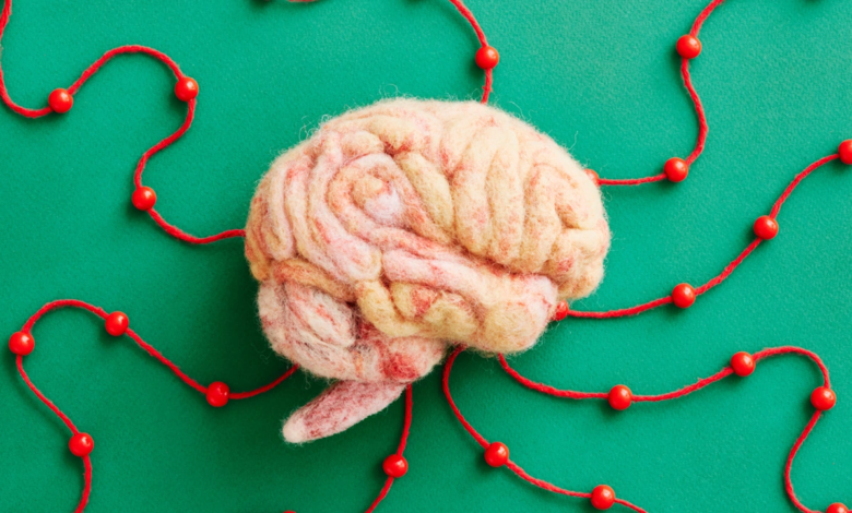 Learning Science in Products: The Infrastructure Shift