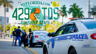 Brickbat: Unshine State