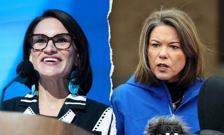 Emmer: Republicans prefer Flanagan in Minnesota Senate race