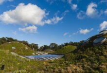 Rooftop gardens: the untapped climate tool sitting on every city’s head