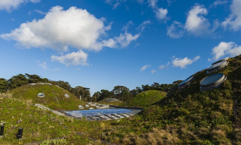 Rooftop gardens: the untapped climate tool sitting on every city’s head