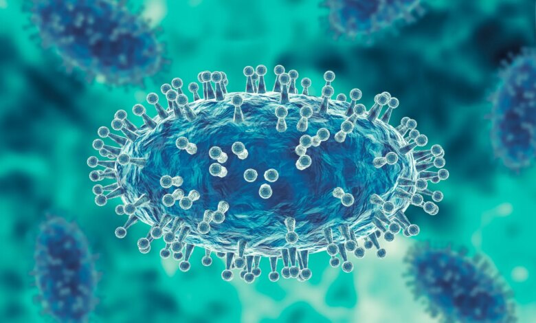 Mpox in US military wastewater found in Hawaii—what it means