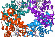 Clinical trial shows gene editing works for β-Thalassaemia, too