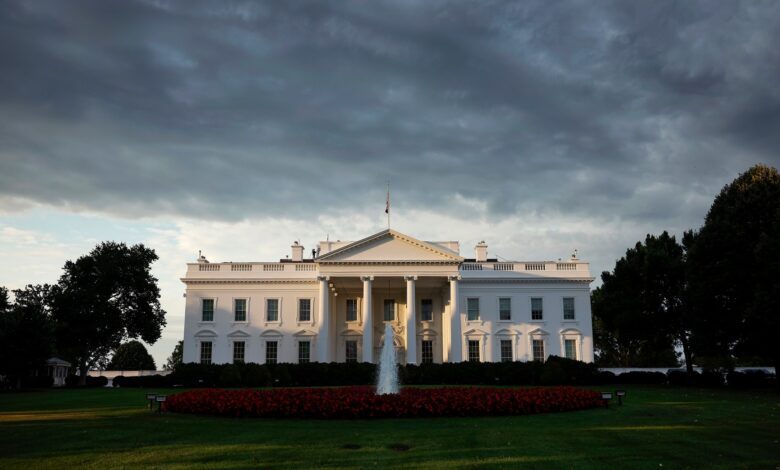 AI in U.S. Government: Three Cautionary Tales From Misryoum