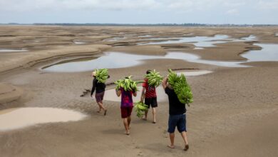 Too Hot to Feed the World: Brazil’s Heat Wave Signals a Crisis