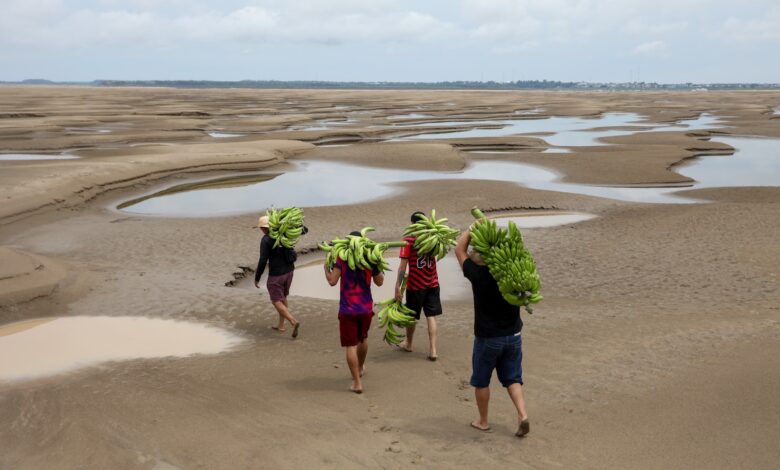 Too Hot to Feed the World: Brazil’s Heat Wave Signals a Crisis