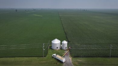 Most US farmers can’t afford fertilizer—survey warns of food pressure