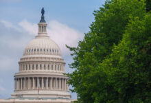 DC’s Tree Population Hits an “A-” — Here’s What the Scorecard Means