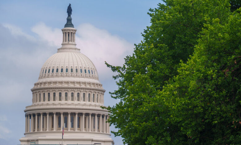 DC’s Tree Population Hits an “A-” — Here’s What the Scorecard Means