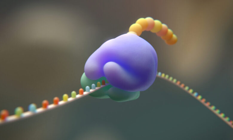 Genetic Code Shift to 19 Amino Acids Tested by Researchers