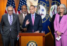 Why Do the Democrats Keep Expanding the Institutions They Claim to Oppose?