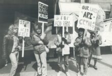 Whatever Happened to the Ozone Hole, Acid Rain, and DDT?