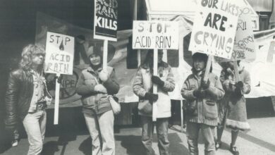 Whatever Happened to the Ozone Hole, Acid Rain, and DDT?