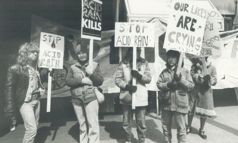 Whatever Happened to the Ozone Hole, Acid Rain, and DDT?