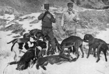 Gun purchase tax that funds wildlife conservation, explained