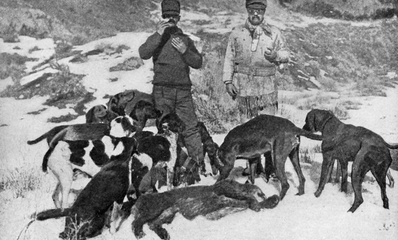 Gun purchase tax that funds wildlife conservation, explained