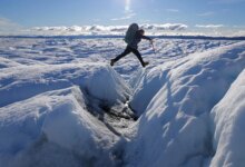 Can the Arctic Council Survive U.S. Greenland Pressure?