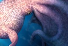Meet the 19-meter Cretaceous kraken that swam with mosasaurs