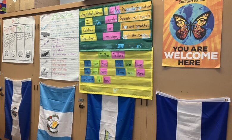 Plyler v. Doe: Supreme Court affirmed free school for undocumented kids