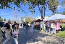 Enrollment Surges at UC Riverside as Other UCs Stall