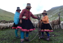 Uqhu and Melting Glaciers: How Quechua Herders Read Water