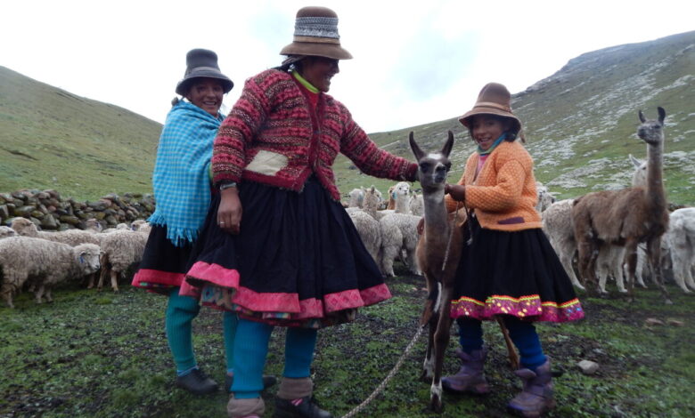 Uqhu and Melting Glaciers: How Quechua Herders Read Water