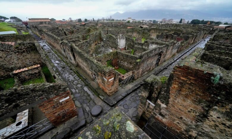 AI Gives Face to a Pompeii Victim, Bridging Past and Present
