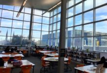 Teacher librarians and AI literacy: the access gap schools can’t ignore