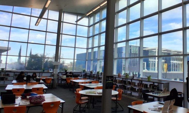 Teacher librarians and AI literacy: the access gap schools can’t ignore