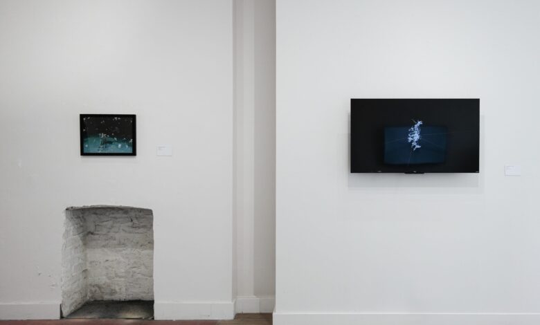 Microcosm & Macrocosm: Yaxuan Liao’s Resonance Archive