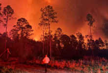 Pineland Road Fire grows to 32,000 acres, threatens hundreds of structures