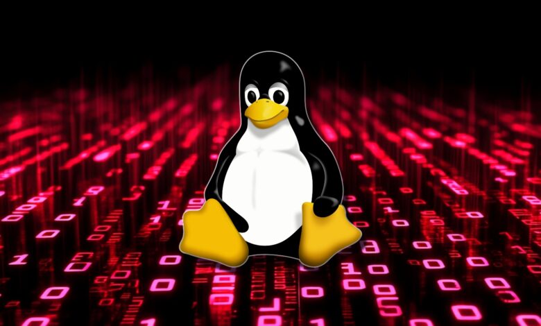 Pack2TheRoot flaw: how Linux users could get root via PackageKit
